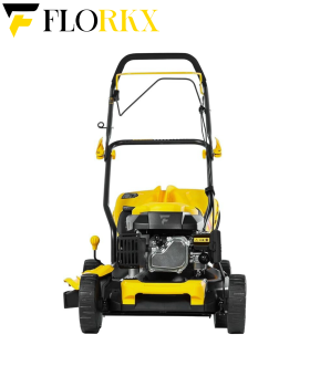Grass Catcher 50 L Gasoline Lawn Mower (2)