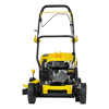 Grass Catcher 50 L Gasoline Lawn Mower (2)